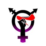 Aliadas TransFeministas