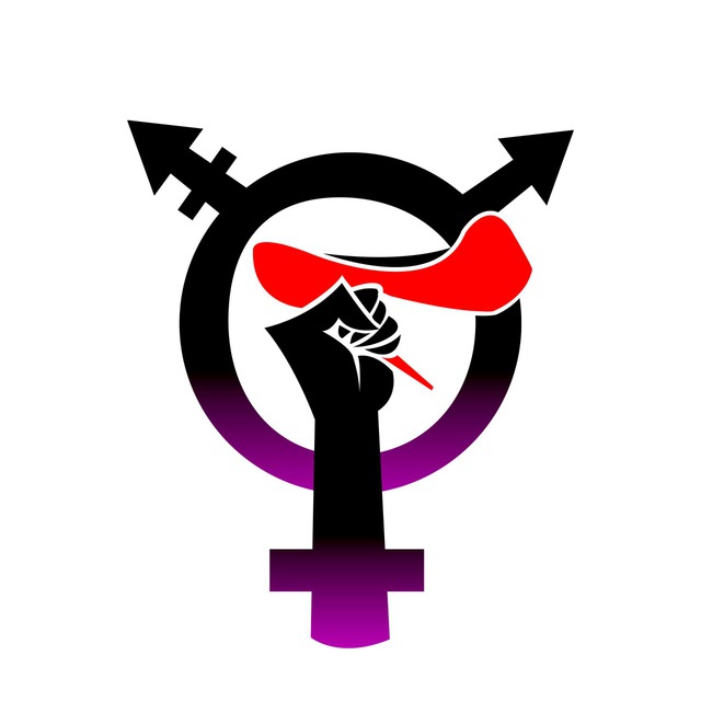 Aliadas TransFeministas