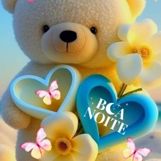 🌻 BOA NOITE 🌻