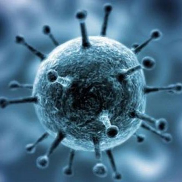 Coronavirus Noticias
