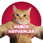 KOMIK HAYVANLAR