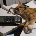 MATH F2 WITH QAYYUM