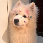 настроение