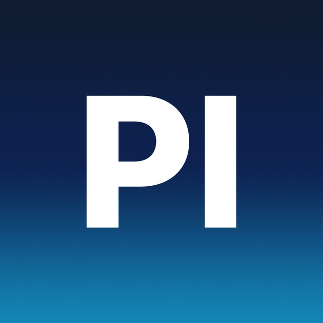 Playerok x Steam