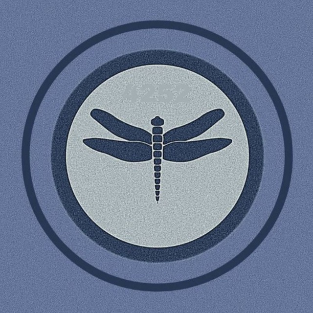 НЕЙРОСТИКЕРЫ /Стрекоза